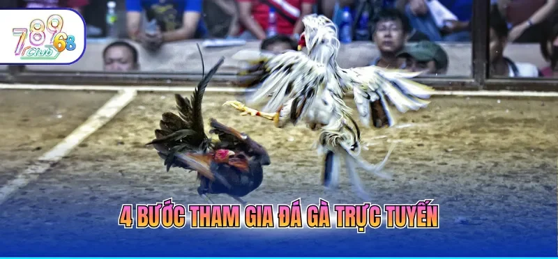 Đá Gà Trực Tiếp Hôm Nay Với Chất Lượng 4k, Mượt Mà 3 4 bước tham gia đá gà trực tuyến